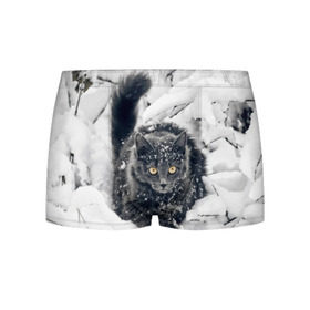 Мужские трусы 3D с принтом Кот в снегу в Белгороде, 50% хлопок, 50% полиэстер | классическая посадка, на поясе мягкая тканевая резинка | Тематика изображения на принте: ветки | дикий | домашнее | животное | зима | кот | котэ | кошка | снег | сугробы