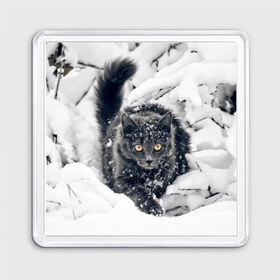 Магнит 55*55 с принтом Кот в снегу в Белгороде, Пластик | Размер: 65*65 мм; Размер печати: 55*55 мм | Тематика изображения на принте: ветки | дикий | домашнее | животное | зима | кот | котэ | кошка | снег | сугробы