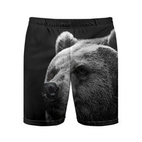Мужские шорты 3D спортивные с принтом Медведь в Белгороде,  |  | Тематика изображения на принте: бурый | дикий | животное | медведь | россия | символ | тайги | фото | хищник | хозяин | черно белое