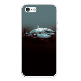 Чехол для iPhone 5/5S матовый с принтом Акула в Белгороде, Силикон | Область печати: задняя сторона чехла, без боковых панелей | акула | море | хищник