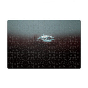 Пазл магнитный 126 элементов с принтом Акула в Белгороде, полимерный материал с магнитным слоем | 126 деталей, размер изделия —  180*270 мм | акула | море | хищник