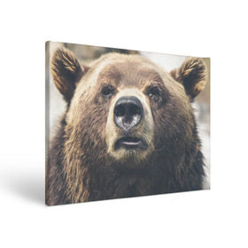 Холст прямоугольный с принтом Русский медведь в Белгороде, 100% ПВХ |  | Тематика изображения на принте: медведь | россия | русский | символ | ссср