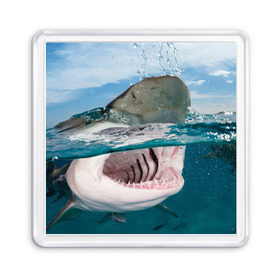 Магнит 55*55 с принтом Хищная акула в Белгороде, Пластик | Размер: 65*65 мм; Размер печати: 55*55 мм | акула | море | океан | природа | хищник