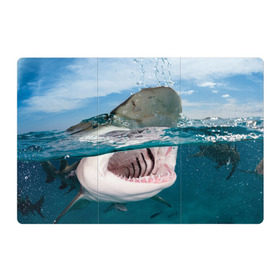 Магнитный плакат 3Х2 с принтом Хищная акула в Белгороде, Полимерный материал с магнитным слоем | 6 деталей размером 9*9 см | акула | море | океан | природа | хищник