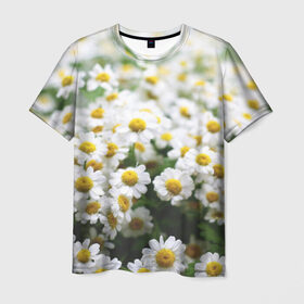 Мужская футболка 3D с принтом Полевые ромашки в Белгороде, 100% полиэфир | прямой крой, круглый вырез горловины, длина до линии бедер | природа | ромашка | цветок | цветы