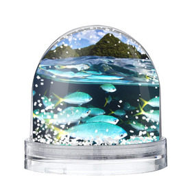 Водяной шар с принтом Подводный мир в Белгороде, Пластик | Изображение внутри шара печатается на глянцевой фотобумаге с двух сторон | Тематика изображения на принте: вода | море | океан | природа | рыба | рыбы