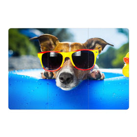 Магнитный плакат 3Х2 с принтом Пес в очках в Белгороде, Полимерный материал с магнитным слоем | 6 деталей размером 9*9 см | отдых | очки | пес | собака | щенок