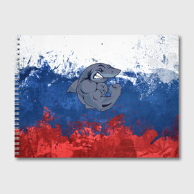 Альбом для рисования с принтом Акула в Белгороде, 100% бумага
 | матовая бумага, плотность 200 мг. | плавание | россия | русский | спорт