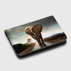 Картхолдер с принтом с принтом Дикий слон в Белгороде, натуральная матовая кожа | размер 7,3 х 10 см; кардхолдер имеет 4 кармана для карт; | Тематика изображения на принте: слон