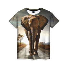 Женская футболка 3D с принтом Дикий слон в Белгороде, 100% полиэфир ( синтетическое хлопкоподобное полотно) | прямой крой, круглый вырез горловины, длина до линии бедер | слон