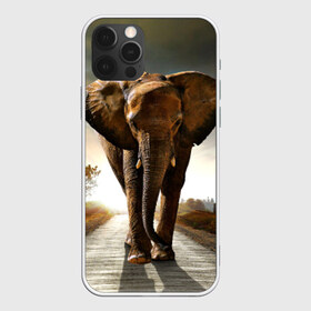 Чехол для iPhone 12 Pro Max с принтом Дикий слон в Белгороде, Силикон |  | Тематика изображения на принте: слон