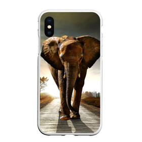 Чехол для iPhone XS Max матовый с принтом Дикий слон в Белгороде, Силикон | Область печати: задняя сторона чехла, без боковых панелей | слон