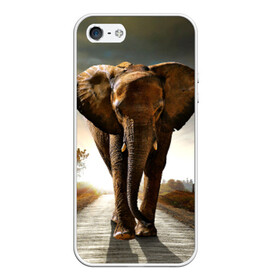 Чехол для iPhone 5/5S матовый с принтом Дикий слон в Белгороде, Силикон | Область печати: задняя сторона чехла, без боковых панелей | слон
