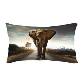 Подушка 3D антистресс с принтом Дикий слон в Белгороде, наволочка — 100% полиэстер, наполнитель — вспененный полистирол | состоит из подушки и наволочки на молнии | слон