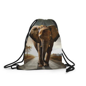Рюкзак-мешок 3D с принтом Дикий слон в Белгороде, 100% полиэстер | плотность ткани — 200 г/м2, размер — 35 х 45 см; лямки — толстые шнурки, застежка на шнуровке, без карманов и подкладки | Тематика изображения на принте: слон