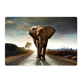 Магнитный плакат 3Х2 с принтом Дикий слон в Белгороде, Полимерный материал с магнитным слоем | 6 деталей размером 9*9 см | Тематика изображения на принте: слон