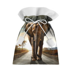 Подарочный 3D мешок с принтом Дикий слон в Белгороде, 100% полиэстер | Размер: 29*39 см | Тематика изображения на принте: слон