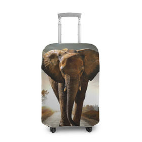 Чехол для чемодана 3D с принтом Дикий слон в Белгороде, 86% полиэфир, 14% спандекс | двустороннее нанесение принта, прорези для ручек и колес | слон