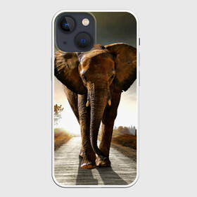 Чехол для iPhone 13 mini с принтом Дикий слон в Белгороде,  |  | слон