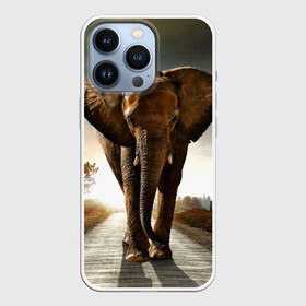 Чехол для iPhone 13 Pro с принтом Дикий слон в Белгороде,  |  | слон