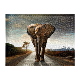 Обложка для студенческого билета с принтом Дикий слон в Белгороде, натуральная кожа | Размер: 11*8 см; Печать на всей внешней стороне | слон