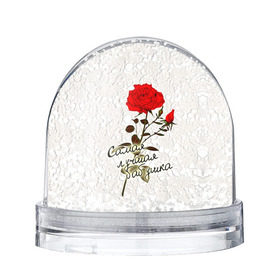 Снежный шар с принтом Самая лучшая бабушка в Белгороде, Пластик | Изображение внутри шара печатается на глянцевой фотобумаге с двух сторон | 8 марта | бабушка | лучшая | подарок | роза | самая