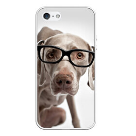 Чехол силиконовый для Телефон Apple iPhone 5/5S с принтом Собака в очках в Белгороде, Силикон | Область печати: задняя сторона чехла, без боковых панелей | Тематика изображения на принте: в очках | дог | животное | очки | прикол | пятнистый | собака | щенок