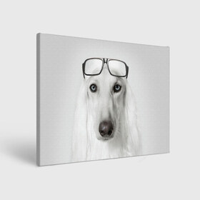 Холст прямоугольный с принтом Собака в очках в Белгороде, 100% ПВХ |  | афганская | белая | борзая | в очках | животное | очки | прикол | собака