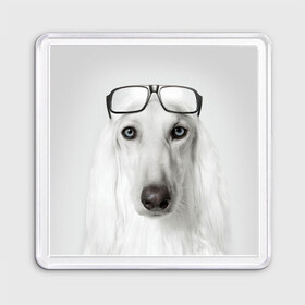 Магнит 55*55 с принтом Собака в очках в Белгороде, Пластик | Размер: 65*65 мм; Размер печати: 55*55 мм | Тематика изображения на принте: афганская | белая | борзая | в очках | животное | очки | прикол | собака