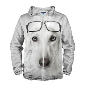 Мужская ветровка 3D с принтом Собака в очках в Белгороде, 100% полиэстер | подол и капюшон оформлены резинкой с фиксаторами, два кармана без застежек по бокам, один потайной карман на груди | афганская | белая | борзая | в очках | животное | очки | прикол | собака