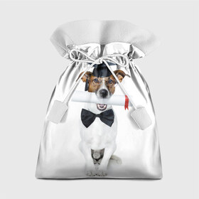Подарочный 3D мешок с принтом Собака выпускник в Белгороде, 100% полиэстер | Размер: 29*39 см | Тематика изображения на принте: бабочка | галстук | диплом | магистр | пес