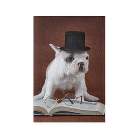 Обложка для паспорта матовая кожа с принтом Бульдог в цилиндре в Белгороде, натуральная матовая кожа | размер 19,3 х 13,7 см; прозрачные пластиковые крепления | Тематика изображения на принте: бульдог в цилиндре | домашнее | животное | книга французский | очки | пес | прикол | собака | умный | ученый