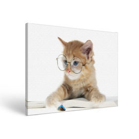 Холст прямоугольный с принтом Кот в очках в Белгороде, 100% ПВХ |  | домашнее | животное | книга | кот | кот в очках | котэ | очки | прикол | умный | ученый | читает