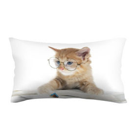 Подушка 3D антистресс с принтом Кот в очках в Белгороде, наволочка — 100% полиэстер, наполнитель — вспененный полистирол | состоит из подушки и наволочки на молнии | домашнее | животное | книга | кот | кот в очках | котэ | очки | прикол | умный | ученый | читает