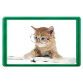 Магнит 45*70 с принтом Кот в очках в Белгороде, Пластик | Размер: 78*52 мм; Размер печати: 70*45 | домашнее | животное | книга | кот | кот в очках | котэ | очки | прикол | умный | ученый | читает
