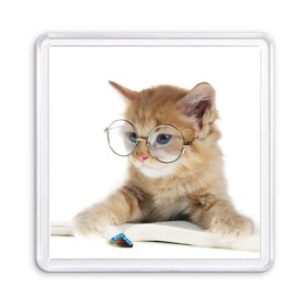 Магнит 55*55 с принтом Кот в очках в Белгороде, Пластик | Размер: 65*65 мм; Размер печати: 55*55 мм | Тематика изображения на принте: домашнее | животное | книга | кот | кот в очках | котэ | очки | прикол | умный | ученый | читает