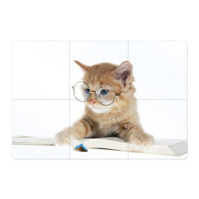 Магнитный плакат 3Х2 с принтом Кот в очках в Белгороде, Полимерный материал с магнитным слоем | 6 деталей размером 9*9 см | домашнее | животное | книга | кот | кот в очках | котэ | очки | прикол | умный | ученый | читает