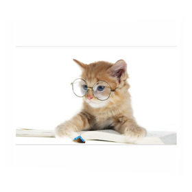 Бумага для упаковки 3D с принтом Кот в очках в Белгороде, пластик и полированная сталь | круглая форма, металлическое крепление в виде кольца | Тематика изображения на принте: домашнее | животное | книга | кот | кот в очках | котэ | очки | прикол | умный | ученый | читает