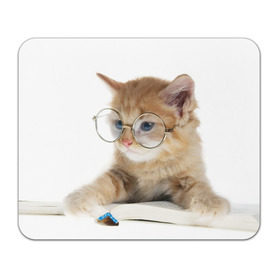 Коврик прямоугольный с принтом Кот в очках в Белгороде, натуральный каучук | размер 230 х 185 мм; запечатка лицевой стороны | домашнее | животное | книга | кот | кот в очках | котэ | очки | прикол | умный | ученый | читает
