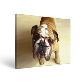 Холст прямоугольный с принтом Бульдог в очках в Белгороде, 100% ПВХ |  | бульдог в очках | домашнее | животное | очки | пес | прикол | собака | умный | ученый
