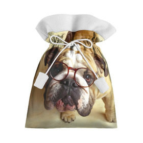 Подарочный 3D мешок с принтом Бульдог в очках в Белгороде, 100% полиэстер | Размер: 29*39 см | Тематика изображения на принте: бульдог в очках | домашнее | животное | очки | пес | прикол | собака | умный | ученый