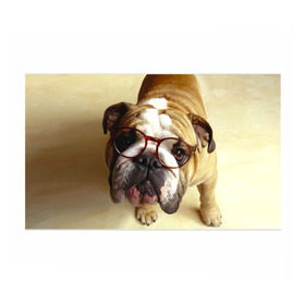Бумага для упаковки 3D с принтом Бульдог в очках в Белгороде, пластик и полированная сталь | круглая форма, металлическое крепление в виде кольца | Тематика изображения на принте: бульдог в очках | домашнее | животное | очки | пес | прикол | собака | умный | ученый