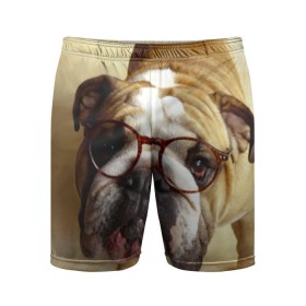 Мужские шорты 3D спортивные с принтом Бульдог в очках в Белгороде,  |  | бульдог в очках | домашнее | животное | очки | пес | прикол | собака | умный | ученый