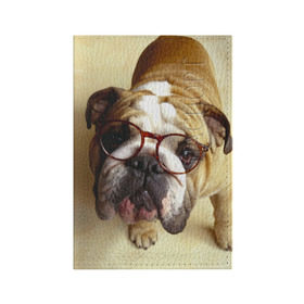 Обложка для паспорта матовая кожа с принтом Бульдог в очках в Белгороде, натуральная матовая кожа | размер 19,3 х 13,7 см; прозрачные пластиковые крепления | бульдог в очках | домашнее | животное | очки | пес | прикол | собака | умный | ученый