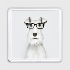 Магнит 55*55 с принтом Собака в очках в Белгороде, Пластик | Размер: 65*65 мм; Размер печати: 55*55 мм | белый | домашнее | животное | очки | пес | прикол | собака в очках | умный | ученый | эрдельтерьер