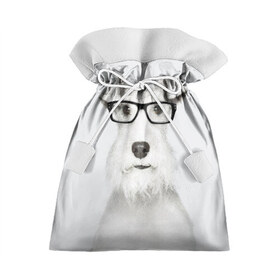 Подарочный 3D мешок с принтом Собака в очках в Белгороде, 100% полиэстер | Размер: 29*39 см | белый | домашнее | животное | очки | пес | прикол | собака в очках | умный | ученый | эрдельтерьер