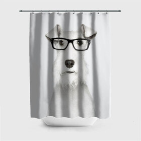 Штора 3D для ванной с принтом Собака в очках в Белгороде, 100% полиэстер | плотность материала — 100 г/м2. Стандартный размер — 146 см х 180 см. По верхнему краю — пластиковые люверсы для креплений. В комплекте 10 пластиковых колец | белый | домашнее | животное | очки | пес | прикол | собака в очках | умный | ученый | эрдельтерьер