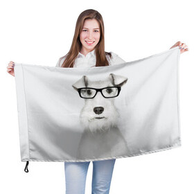 Флаг 3D с принтом Собака в очках в Белгороде, 100% полиэстер | плотность ткани — 95 г/м2, размер — 67 х 109 см. Принт наносится с одной стороны | белый | домашнее | животное | очки | пес | прикол | собака в очках | умный | ученый | эрдельтерьер