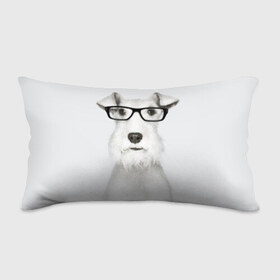 Подушка 3D антистресс с принтом Собака в очках в Белгороде, наволочка — 100% полиэстер, наполнитель — вспененный полистирол | состоит из подушки и наволочки на молнии | белый | домашнее | животное | очки | пес | прикол | собака в очках | умный | ученый | эрдельтерьер