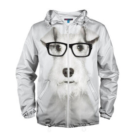 Мужская ветровка 3D с принтом Собака в очках в Белгороде, 100% полиэстер | подол и капюшон оформлены резинкой с фиксаторами, два кармана без застежек по бокам, один потайной карман на груди | Тематика изображения на принте: белый | домашнее | животное | очки | пес | прикол | собака в очках | умный | ученый | эрдельтерьер
